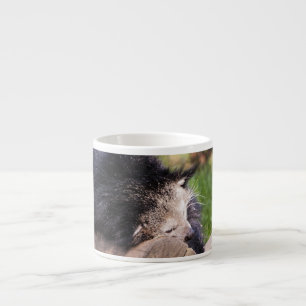 Schlafender Binturong Espressotasse