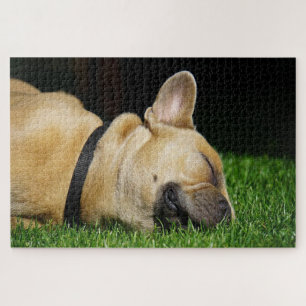 Schlafender Bullenhund Puzzle