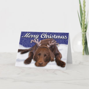 Schlafender Chocolate Lab mit Geweih Foto individu Feiertagskarte