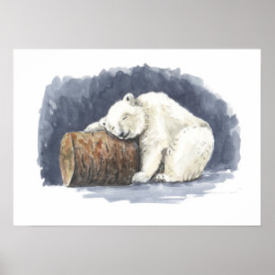 Schlafender Eisbär, Aquarellkunst Poster