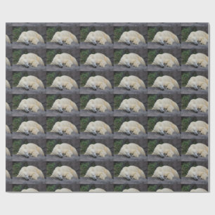 Schlafender Eisbär Geschenkpapier
