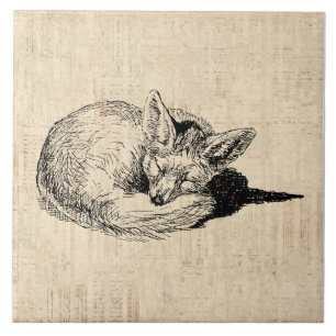 Schlafender Fuchs Illustrierte Kunst Süßes Vintage Fliese