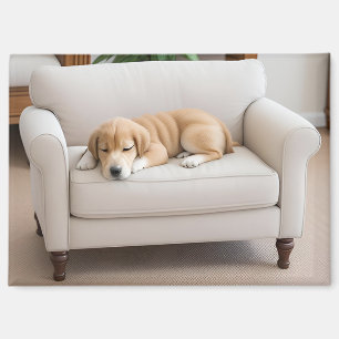 Schlafender Golden Retriever Welpe Magnet