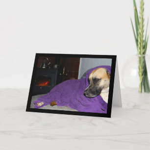 Schlafender Hund am Kamin Karte