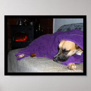 Schlafender Hund am Kamin Poster