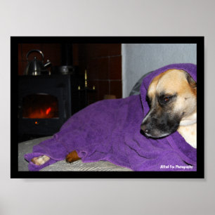 Schlafender Hund am Kamin Poster