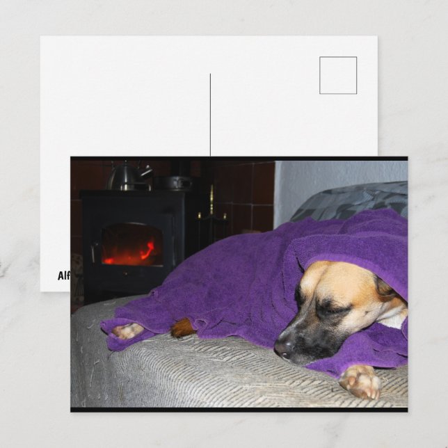 Schlafender Hund am Kamin Postkarte (Vorne/Hinten)