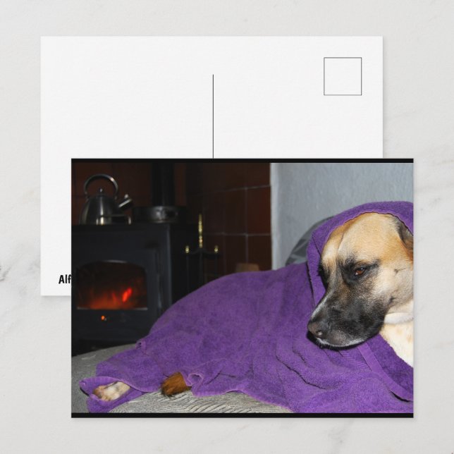 Schlafender Hund am Kamin Postkarte (Vorne/Hinten)