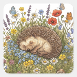 Schlafender Igel in Wildblumenwiese Ästhetik Quadratischer Aufkleber