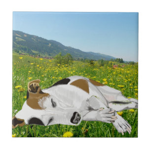 Schlafender Jack Russell in einer farbenfrohen Blu Fliese