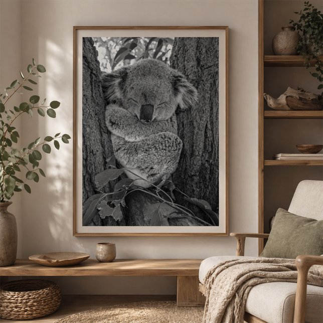 Schlafender Koala Australische Tierwelt Poster (Von Creator hochgeladen)