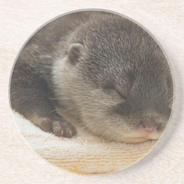 Schlafender Otter Getränkeuntersetzer (Vorne)