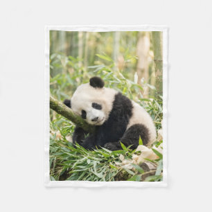 Schlafender Panda in Bambusdecke Fleecedecke