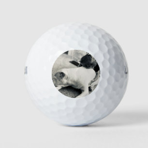 Schlafender Pitbull-Welpe und Babys kuscheln Golfball