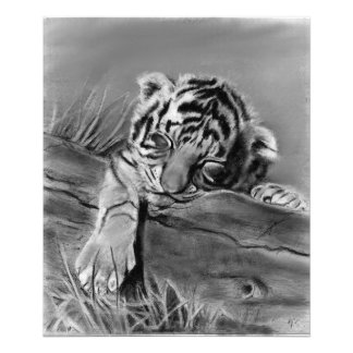 Schlafender Tigerjunge Fotodruck