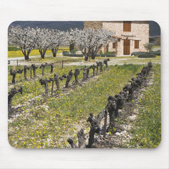 Schlafender Weinberg, Frucht blüht, Steinhaus, Mousepad (Vorne)