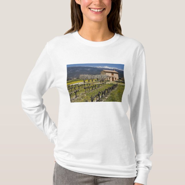 Schlafender Weinberg, Frucht blüht, Steinhaus, T-Shirt (Vorderseite)