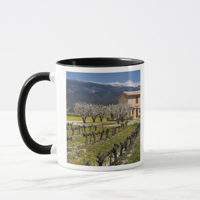 Schlafender Weinberg, Frucht blüht, Steinhaus, Tasse (Links)