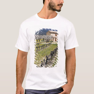 Schlafender Weinberg, Obstblüten, Steinhaus, T-Shirt
