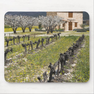 Schlafender Weinberg, Obstblüten, Steinhäuschen, Mousepad