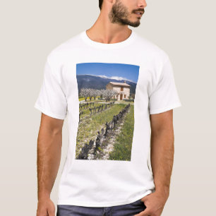 Schlafender Weinberg, Obstblüten, Steinhäuschen, T-Shirt