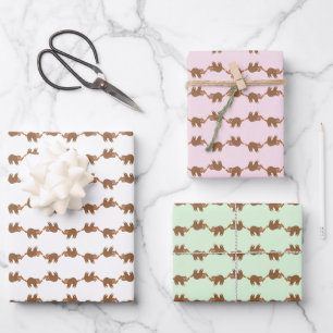 Schlafendes Faultier In Einem Baum Süßes Tier Mehr Geschenkpapier Set