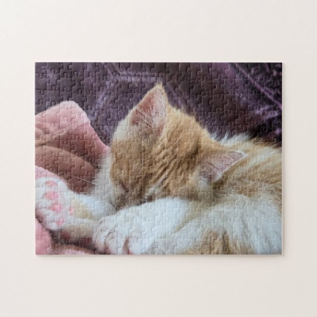 Schlafendes Kätzchen Puzzle (Horizontal)