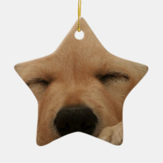 Schlafengolden retriever-Verzierung Keramikornament