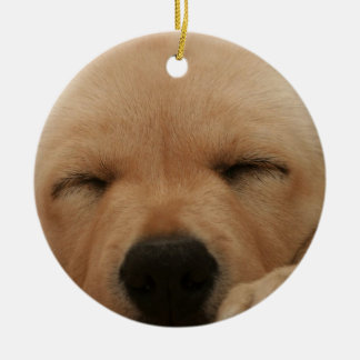 Schlafengolden retriever-Verzierung Keramikornament