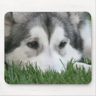 Schlafenheisere Mausunterlage Mousepad