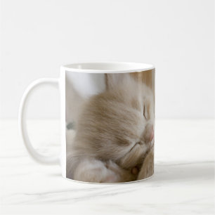 Schlafenkätzchen Kaffeetasse