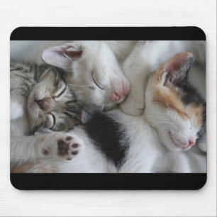 Schlafenkätzchen-Mausunterlage Mousepad