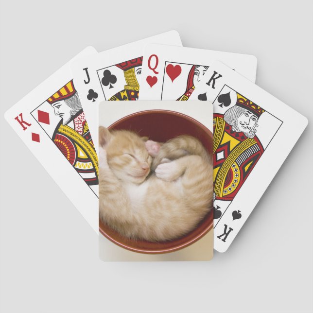 Schlafenkätzchen Spielkarten (Rückseite)