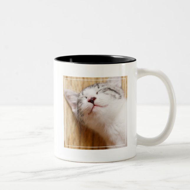 Schlafenkätzchen Zweifarbige Tasse (Rechts)