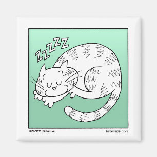 Schlafenkatze Magnet