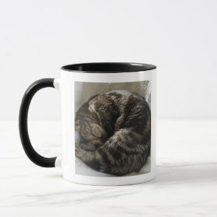 Schlafenkatze Tasse