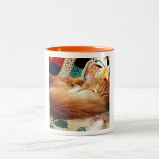 Schlafenkatze Zweifarbige Tasse