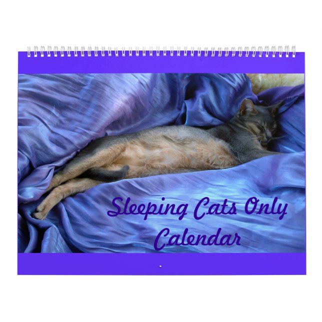 Schlafenkatzen-Kalender Kalender (Titelbild)