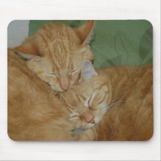 Schlafenkatzen Mousepad