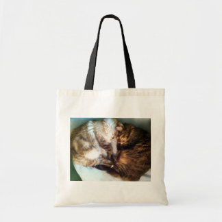 Schlafenkatzen-Taschentasche Tragetasche