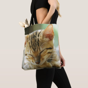 Schlafenkleine Baby-Miezekatze