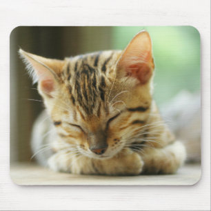 Schlafenkleine Baby-Miezekatze Mousepad