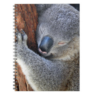 Schlafenkoala Notizblock