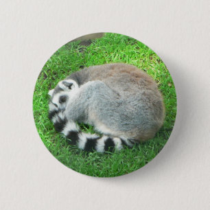 SchlafenLemur auf Gras Button