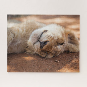 Schlafenlöwe CUB Getty Bild- Puzzle