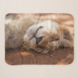 Schlafenlöwe CUB Getty Bild- Sherpadecke