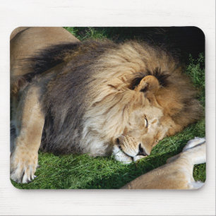 Schlafenlöwe Mousepad