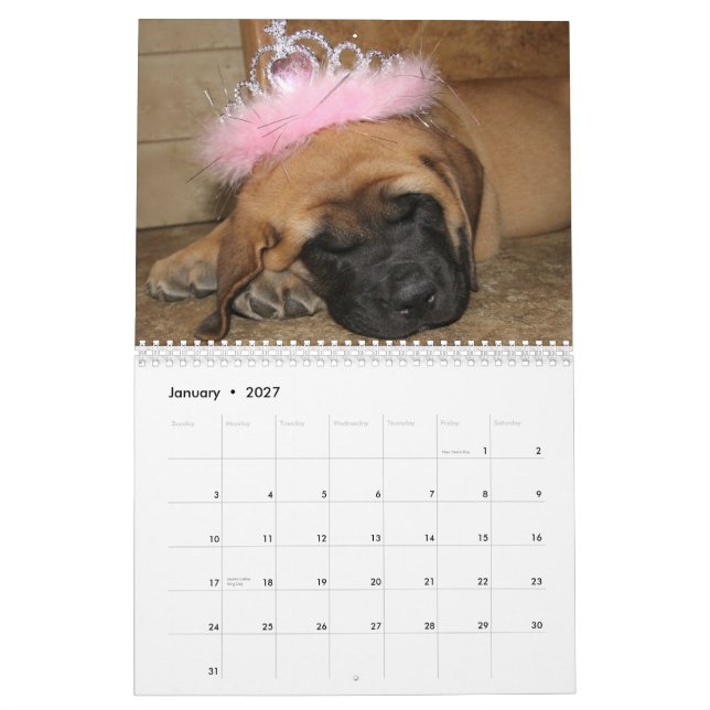 Schlafenmastiff-Kalender Kalender (Jan 2027)