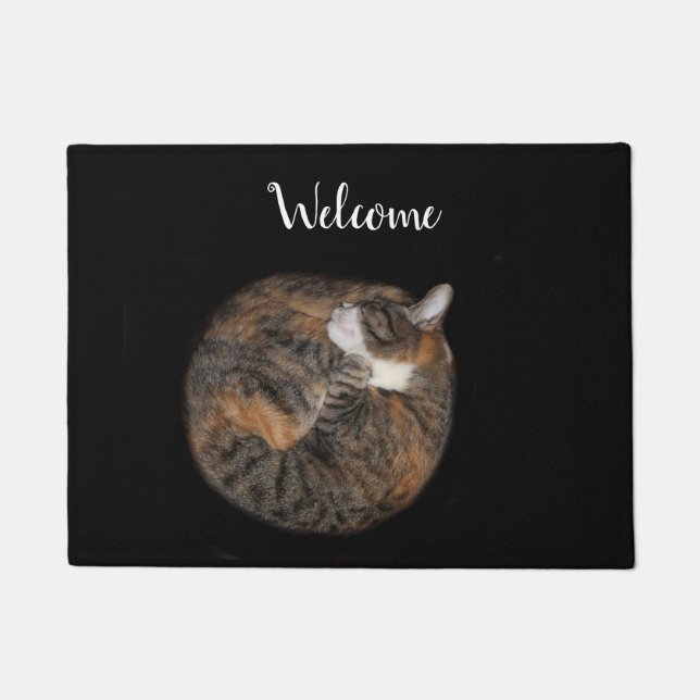 SchlafenMiezekatze Fußmatte (Vorderseite)
