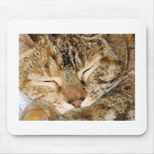 SchlafenMiezekatze Mousepad